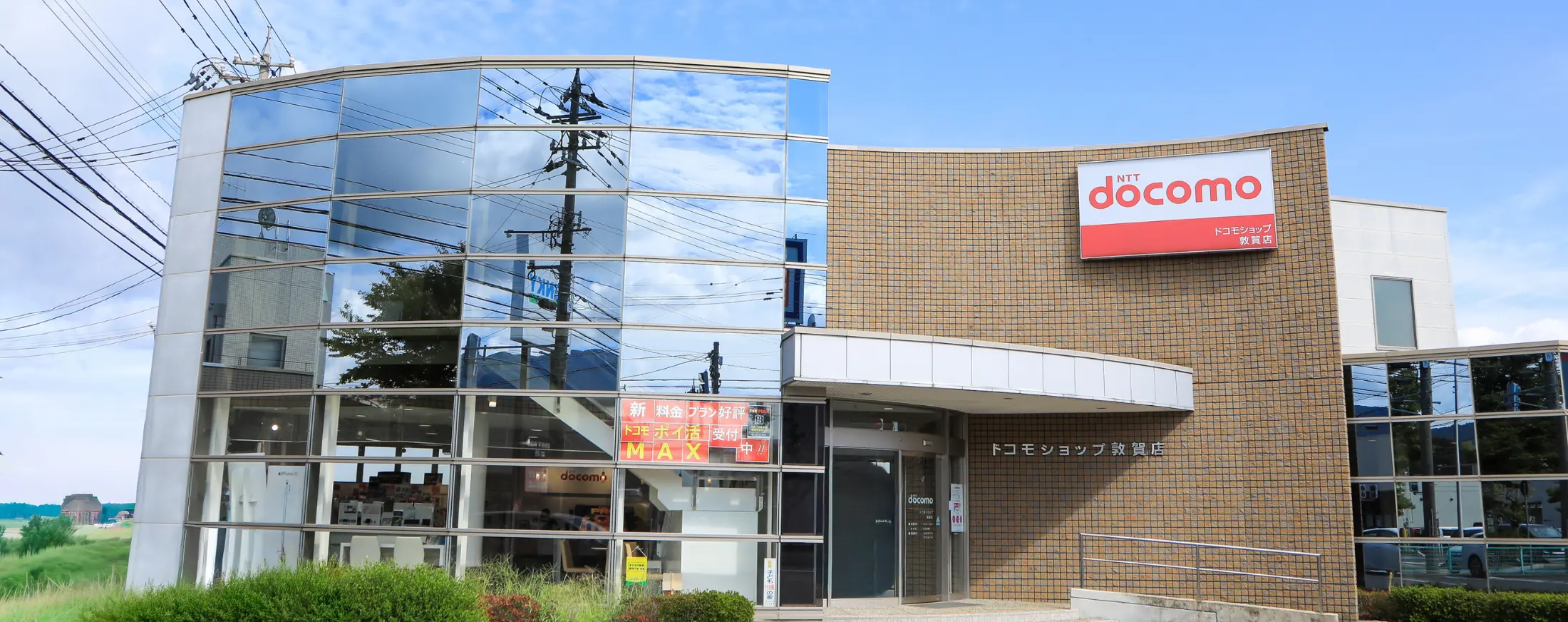 �ز��ŵ����� ��ҳ���